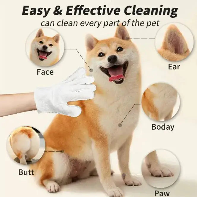Pet Cleaning Gloves & Wipes - Fashivra
